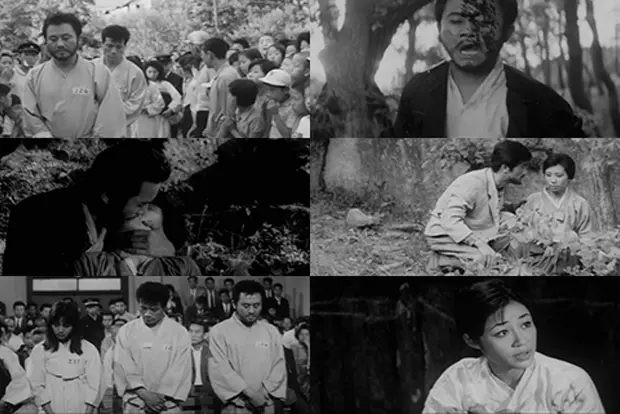 [한국영화걸작선]동굴속의 애욕 대표 이미지