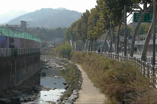 [초이스]이로 인해 그대는 죽지 않을 것이다 대표 이미지