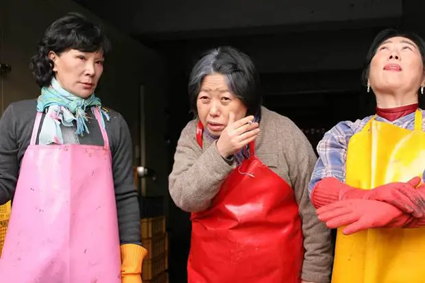 [초이스]암사자(들) 대표 이미지