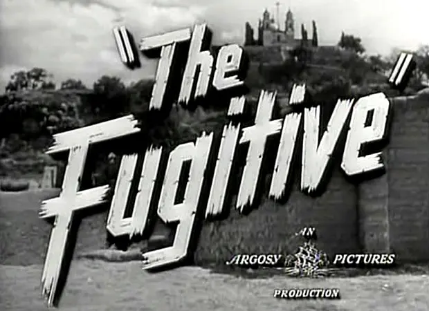 도망자 The Fugitive  대표 이미지