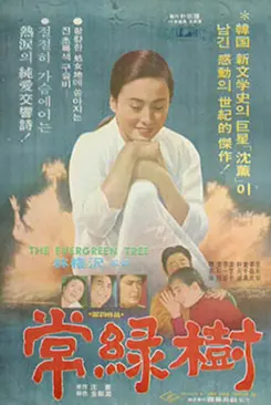 상록수 Evergreen 대표 이미지