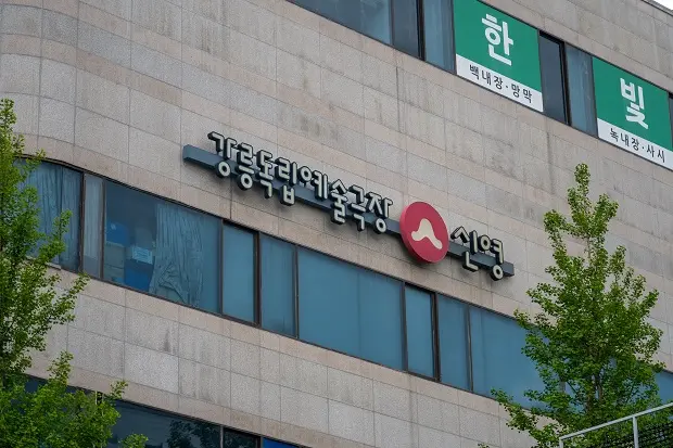 강원 유일의 독립예술영화 전용관: 강릉독립예술극장 신영 대표 이미지