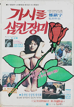 가시를 삼킨 장미