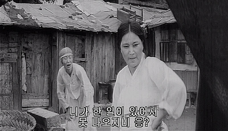 혈맥 황정순